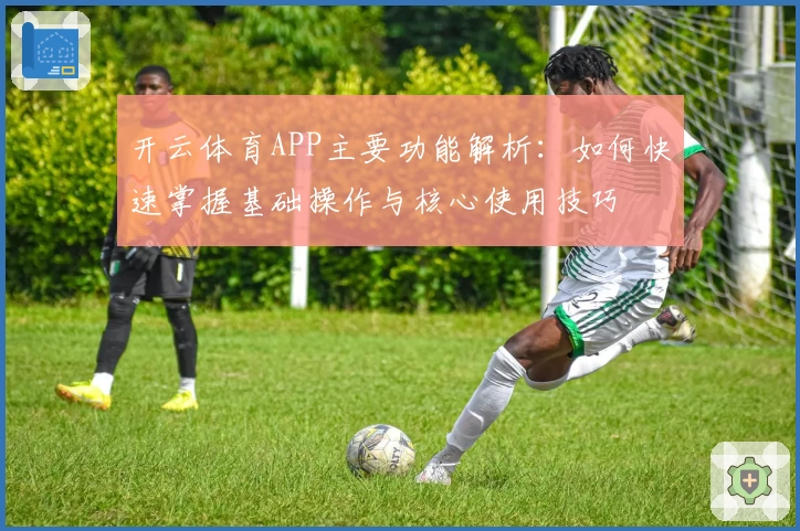 开云体育APP主要功能解析：如何快速掌握基础操作与核心使用技巧